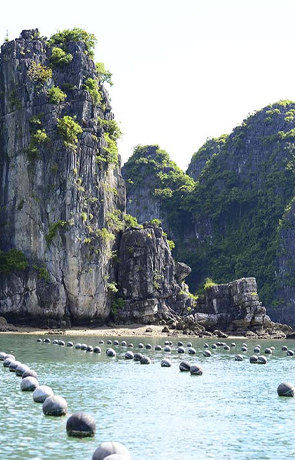 Destination image Làng Nghề Ngọc Trai Tùng Sâu