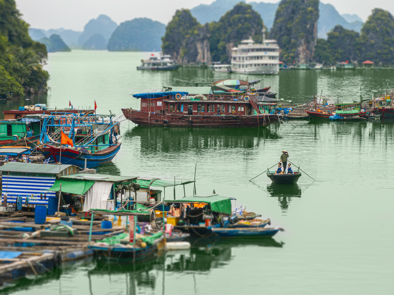 Private Cruise to Bai Tu Long Bay