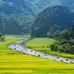 Tam Coc Ninh Binh