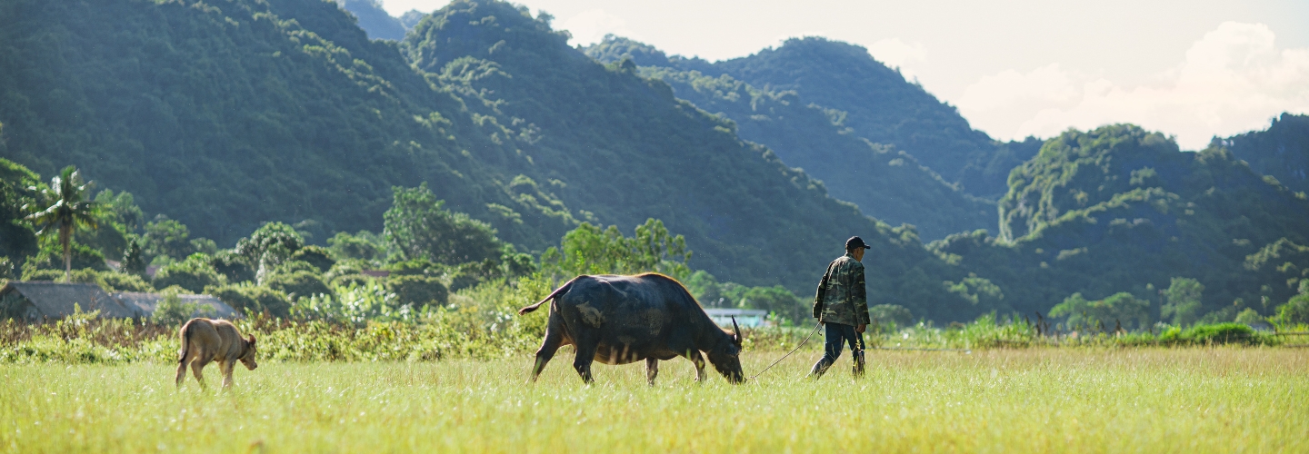 Bhaya Cruise Sustainable Tourism banner cr