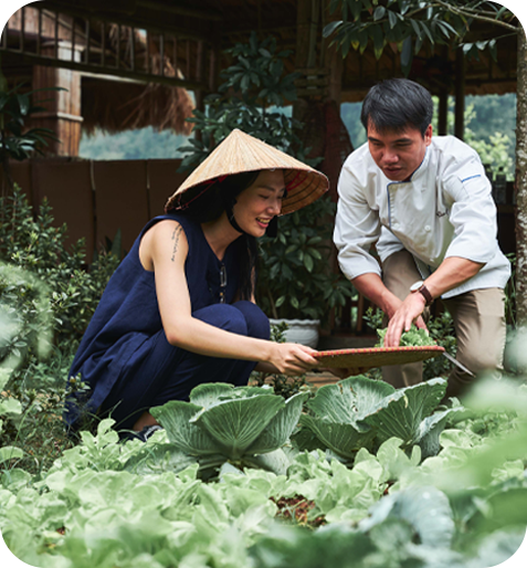 Bhaya Sustainability About us