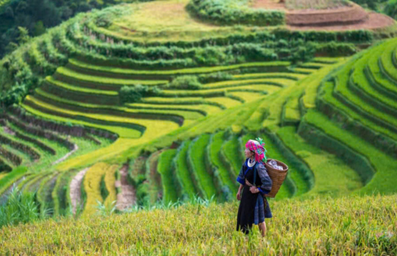 U-Go Empowering Women