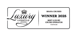 Luxury lifestyle award 2025